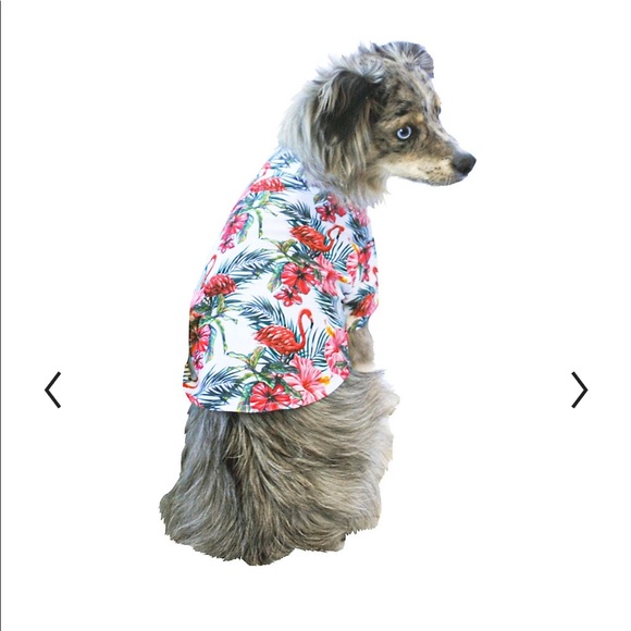 BRAND NEW DOG FLORAL HAWAIIAN SHIRT - Picture 4 of 9